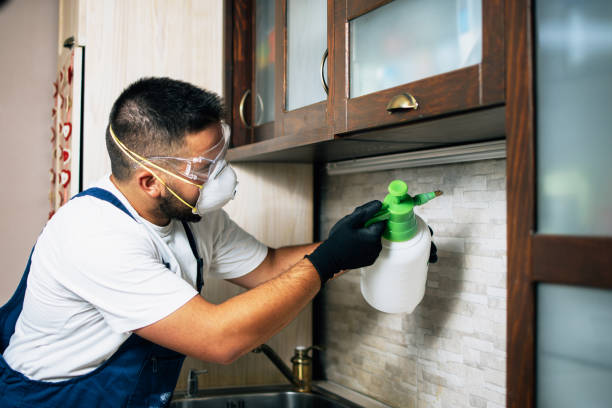 Pest Prevention Services in Hillcrest Heights, MD