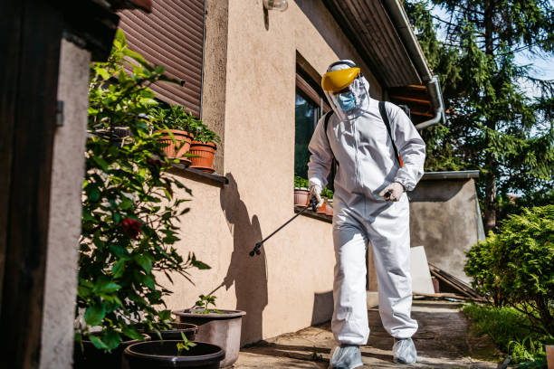 Best Emergency Pest Control  in Hillcrest Heights, MD