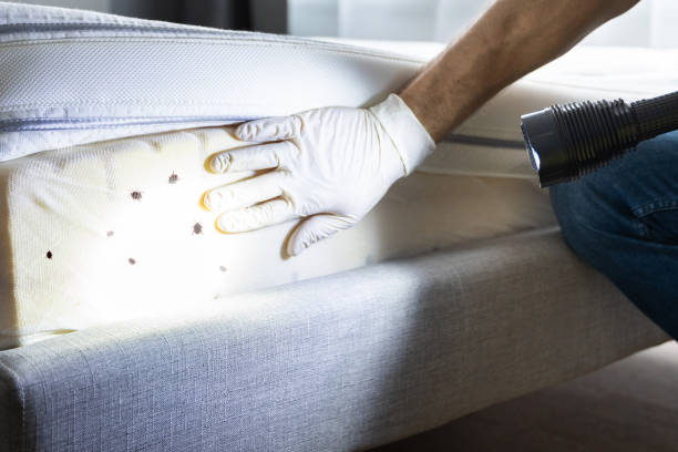 Best Wildlife Control Services  in Hillcrest Heights, MD