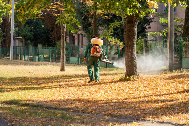 Best Pest Removal Services  in Hillcrest Heights, MD
