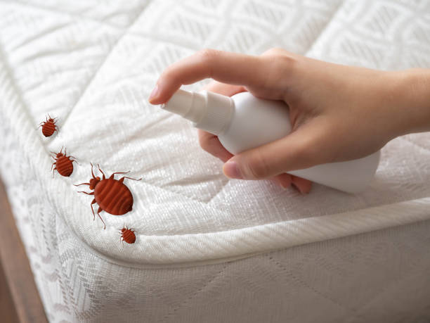 Best Pest Inspection Near Me  in Hillcrest Heights, MD