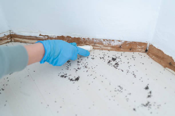 Best Exterminator Services  in Hillcrest Heights, MD